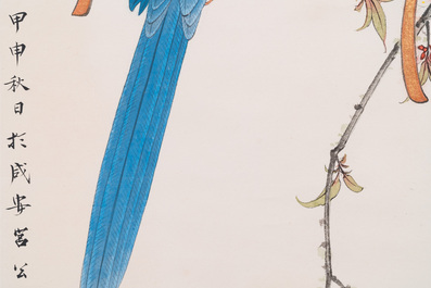 Attributed to Tian Shiguang 田世光 (1916-1999): 'Parrot', ink and colour on paper, dated 1944