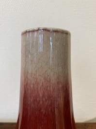 A Chinese langyao bottle vase, 18/19th C.