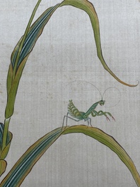 Zhao Hao 趙浩 '石佛' (1881-1949): 'Two quails and insects', ink and colour on silk, dated 1928