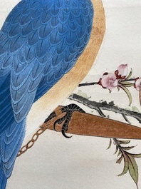 Attributed to Tian Shiguang 田世光 (1916-1999): 'Parrot', ink and colour on paper, dated 1944