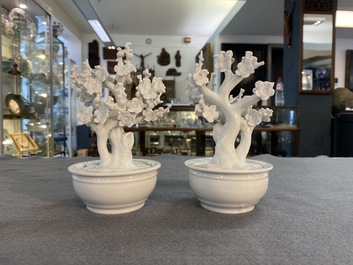 Paire de mod&egrave;les d'arbres dans jardini&egrave;res en porcelaine blanche de Chine, Kangxi