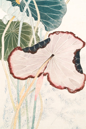 Mi Gengyun 糜耕耘 (1910-1998): 'Lotus', ink and colour on paper, dated 1977