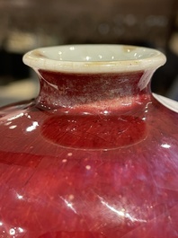 Een Chinese flamb&eacute;-geglazuurde 'meiping' vaas, 18e eeuw