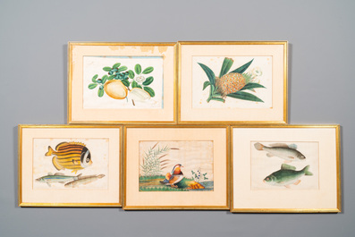 Ten various Chinese rice paper paintings with flora and fauna, Canton, 19/20th C.