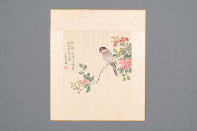 Chinese school: Seven works with birds and flowers, ink and colour on silk, signed Jinghan 景涵, 19/20th C.