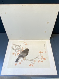 Chinese school: Seven works with birds and flowers, ink and colour on silk, signed Jinghan 景涵, 19/20th C.