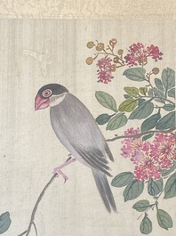 Chinese school: Seven works with birds and flowers, ink and colour on silk, signed Jinghan 景涵, 19/20th C.