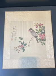 Chinese school: Seven works with birds and flowers, ink and colour on silk, signed Jinghan 景涵, 19/20th C.