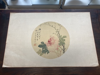 Chinese school: Seven works with insects and peonies, ink and colour on silk, 19/20th C.