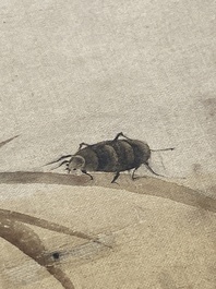Chinese school: Seven works with insects and peonies, ink and colour on silk, 19/20th C.