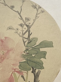 Ecole chinoise : Sept &oelig;uvres avec des insectes et des pivoines, encre et couleur sur soie, 19/20&egrave;me