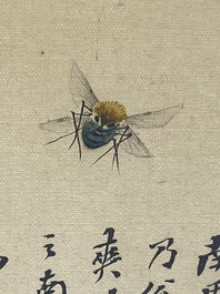 Ecole chinoise : Sept &oelig;uvres avec des insectes et des pivoines, encre et couleur sur soie, 19/20&egrave;me