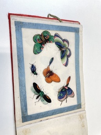 Drie albums en twee kaders met Chinese rijstpapier schilderingen van figuren, fauna en flora, Tak Shang Saihing St. Canton, 19/20e eeuw