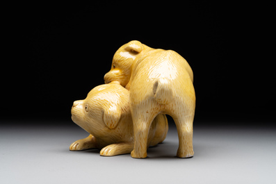 A Chinese monochrome yellow-glazed group of two playing dogs, 19th C.