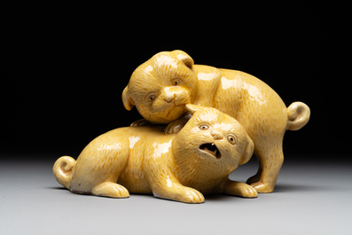 A Chinese monochrome yellow-glazed group of two playing dogs, 19th C.