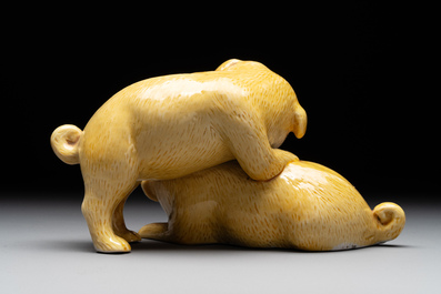 A Chinese monochrome yellow-glazed group of two playing dogs, 19th C.