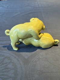A Chinese monochrome yellow-glazed group of two playing dogs, 19th C.