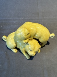 A Chinese monochrome yellow-glazed group of two playing dogs, 19th C.