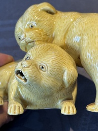 A Chinese monochrome yellow-glazed group of two playing dogs, 19th C.