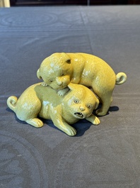 A Chinese monochrome yellow-glazed group of two playing dogs, 19th C.