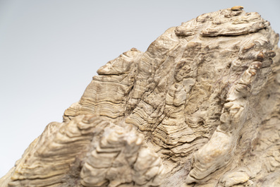 A Chinese 'unknown type' of scholar's rock, Henan province, Ming
