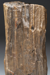 A Chinese petrified wood scholar's rock on wooden stand, 17/18th C.