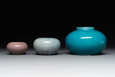 Five Chinese monochrome wares, 19th C.