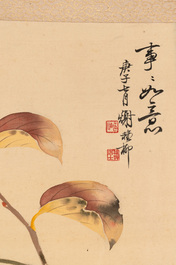 Xiu Zhiliu 謝稚柳 (1910-1997): 'Kaki', ink and colour on silk, dated 1960