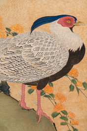 Lu Yifei 陸抑非 (1908-1997): 'Pheasant and flowers', ink and colour on paper, dated 1951