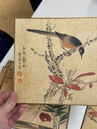 Zhao Yunyu 趙蘊玉 (1916-2003): 'Eight paintings about birds and flowers', ink and colour on silk