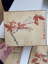 Zhao Yunyu 趙蘊玉 (1916-2003): 'Eight paintings about birds and flowers', ink and colour on silk