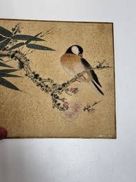 Zhao Yunyu 趙蘊玉 (1916-2003): 'Eight paintings about birds and flowers', ink and colour on silk