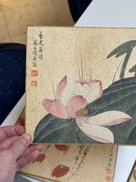 Zhao Yunyu 趙蘊玉 (1916-2003): 'Eight paintings about birds and flowers', ink and colour on silk