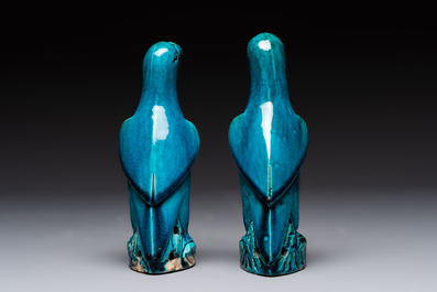 A pair of Chinese turquoise-glazed parrots, 19th C.
