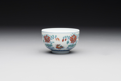 A Chinese doucai 'mandarin ducks' bowl, Chenghua mark, probably Qing
