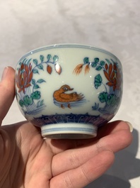 A Chinese doucai 'mandarin ducks' bowl, Chenghua mark, probably Qing