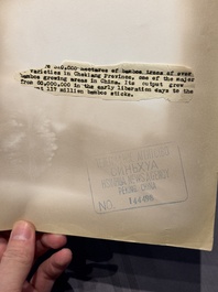 A collection of 19 photographs from the Vietnam War, taken by various press photographers, 3rd quarter 20th C.