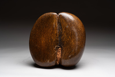 A coco de mer or sea coconut (Lodoicea maldivica), polished, Seychelles