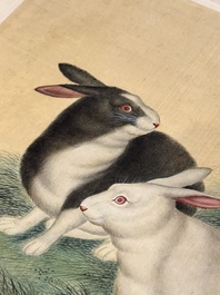 Ma Jin 馬晉 (1900-1970): 'Sheep, Donkeys, Rabbits and a Polar bear', ink and colour on silk