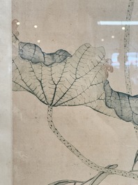 In the manner of Jiang Tingxi 蔣廷錫 (1669 - 1732): 'Mandarin ducks and lotus', ink and colour on silk, 19/20th C.