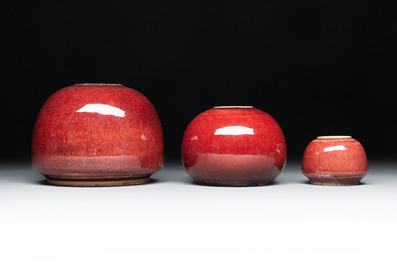 Three Chinese copper-red-glazed water pots, Kangxi mark, 19th C.