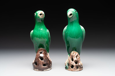 A pair of Chinese verte biscuit models of parrots, Kangxi