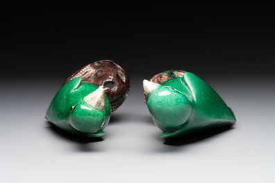 A pair of Chinese verte biscuit models of parrots, Kangxi