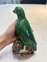 A pair of Chinese verte biscuit models of parrots, Kangxi