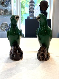 A pair of Chinese verte biscuit models of parrots, Kangxi