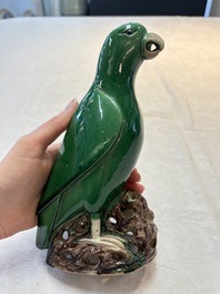 A pair of Chinese verte biscuit models of parrots, Kangxi