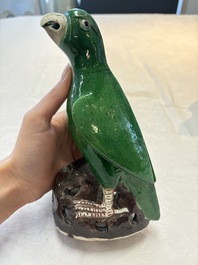 A pair of Chinese verte biscuit models of parrots, Kangxi