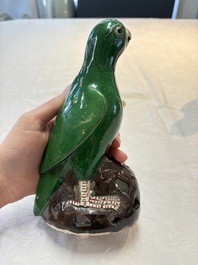 A pair of Chinese verte biscuit models of parrots, Kangxi