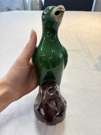 A pair of Chinese verte biscuit models of parrots, Kangxi