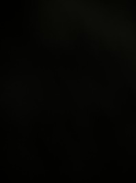 A set of three Chinese or Vietnamese gilt-lacquered wooden sculptures of Buddha, 18/19th C.